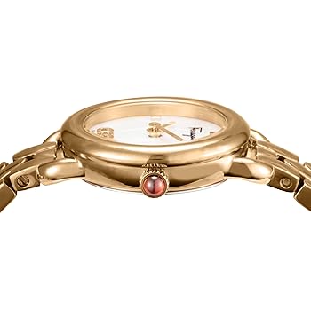 【美品】Salvatore Ferragamo VARINA ヴァリナ 22mm Amazon | Ferragamo フェラガモ Watch レディース VARINA